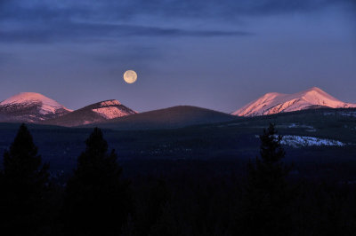 Good Morning Moon