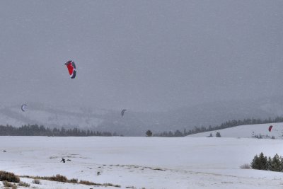 Kite skiing & snowboarding