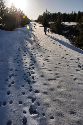 Evening walk