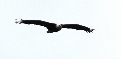 IMG_9268.jpg