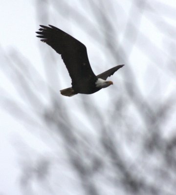 IMG_9269.jpg