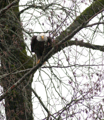 IMG_9270.jpg