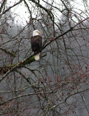 IMG_9278.jpg