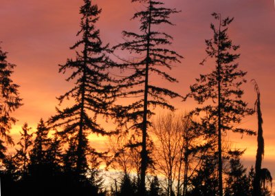 sunrise 3.JPG