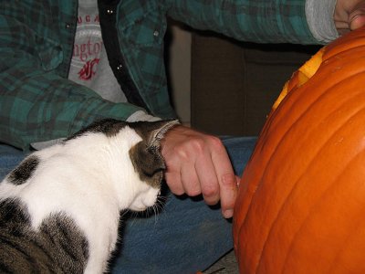 Halloween 025.jpg