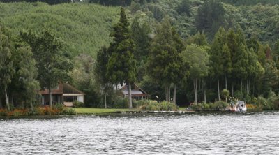 Lake Houses on Lake Rotoiti