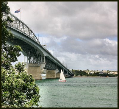 Under the Auckland Harbour Bridge