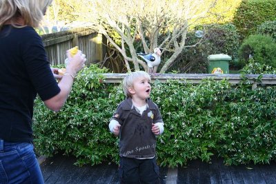 Chasing the Bubbles