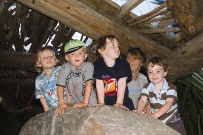 Christmas Party at the Auckland Zoo