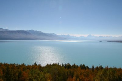 Lake Pukaki looking towards Mt Cook