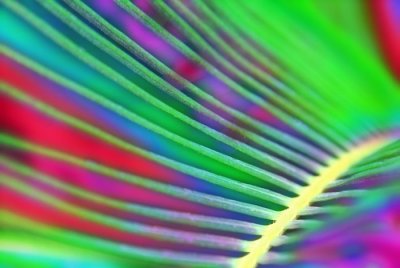 Abstract 5.jpg