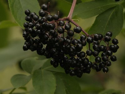 _9041505.jpg