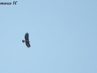 g3/97/786897/3/123026302.X2JO47EC.jpg