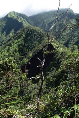 up ridge