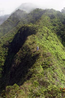 coming down the up trail