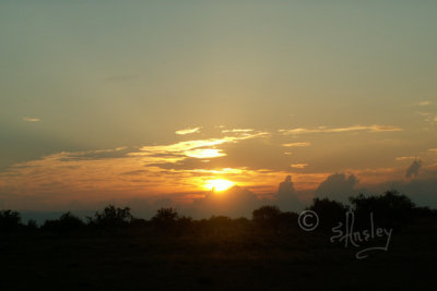 Sunrise 496