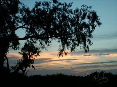 Sunset 042