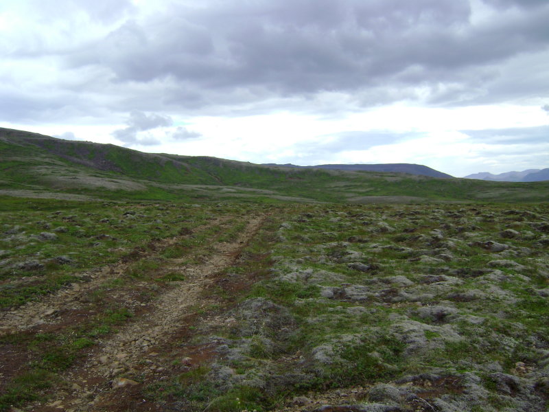 DSC02304.JPG
