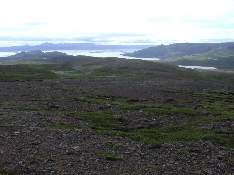 DSC02784.JPG