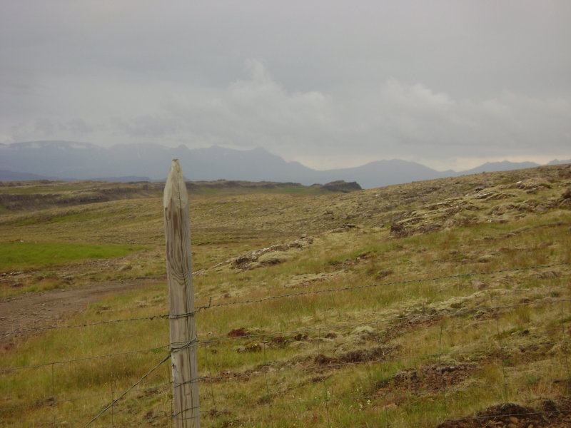 DSC02890.JPG