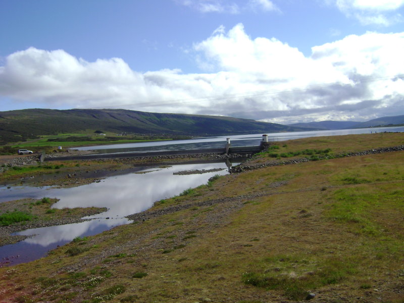 DSC02950.JPG