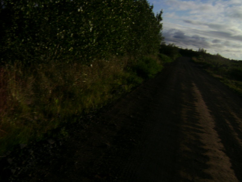 DSC03328.JPG