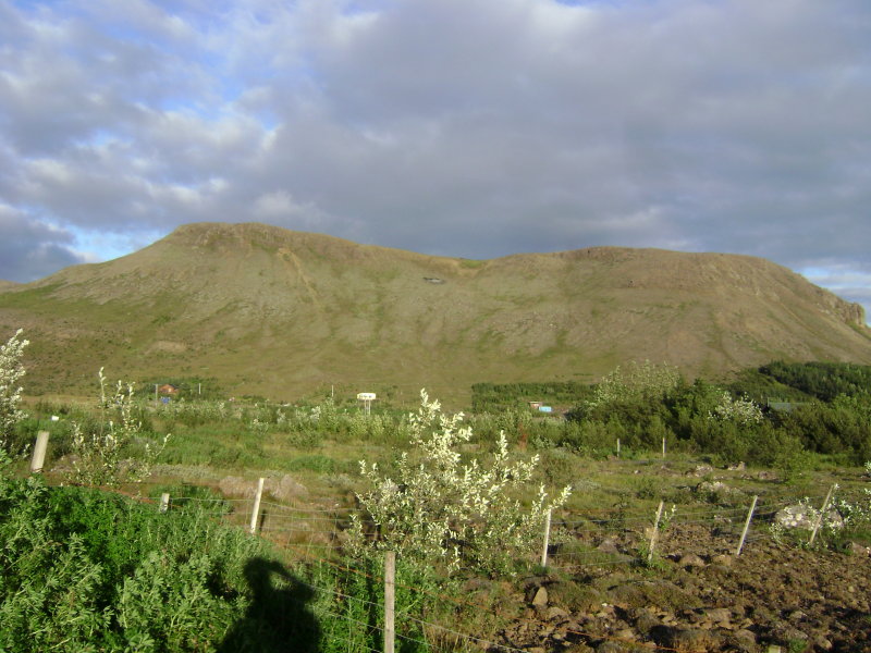 DSC03330.JPG