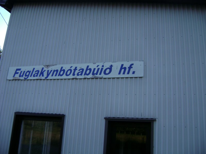 DSC03343.JPG