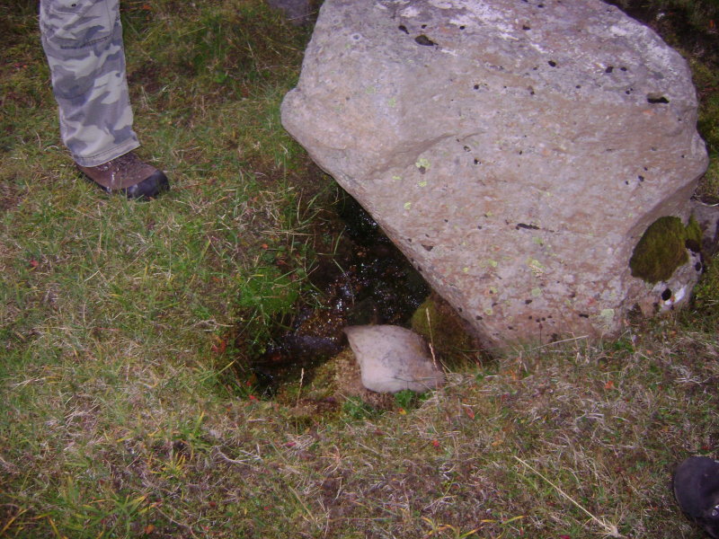 DSC03614.JPG