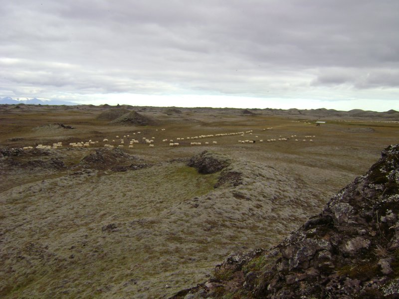 DSC03781.JPG