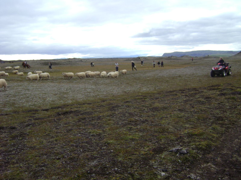 DSC03784.JPG