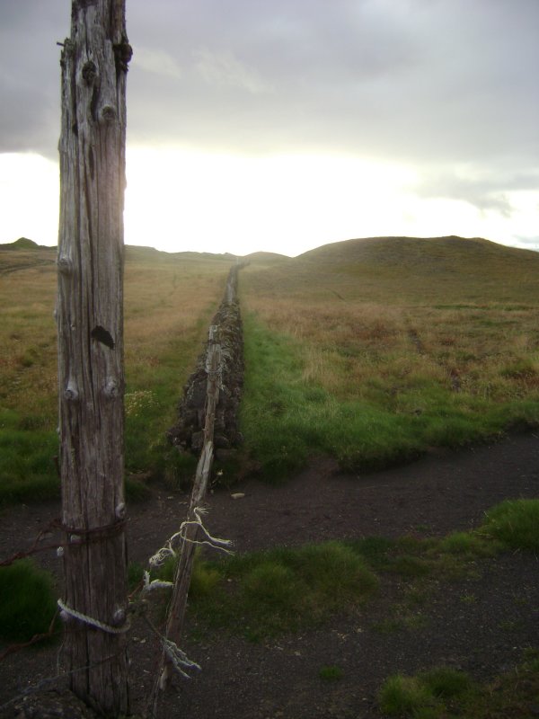 DSC03828.JPG