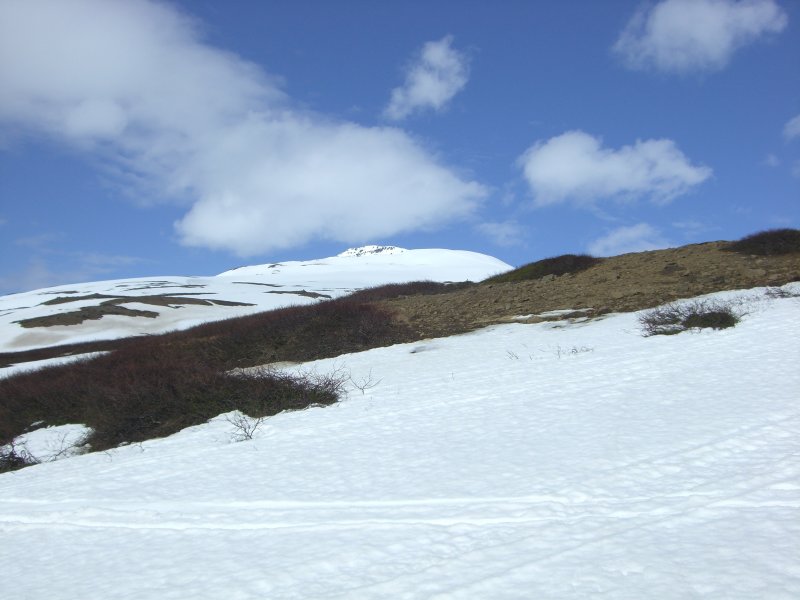 CIMG7177.JPG