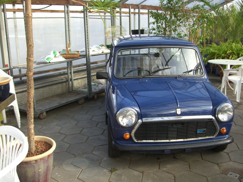 CIMG7220.JPG