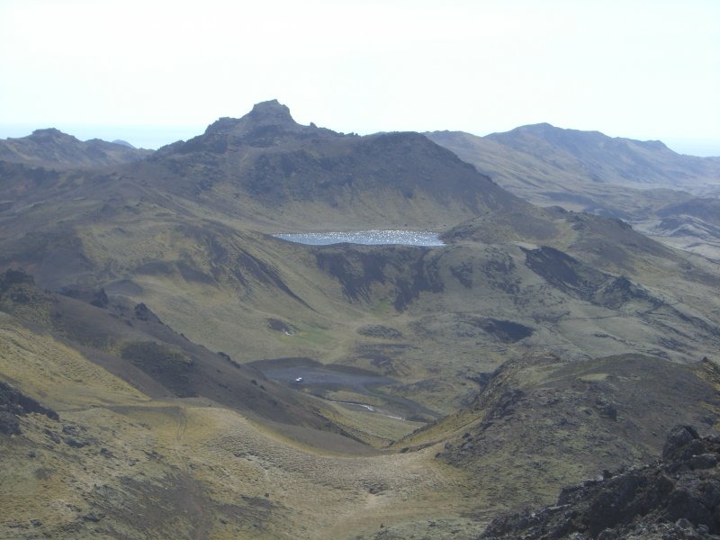 CIMG7653.JPG