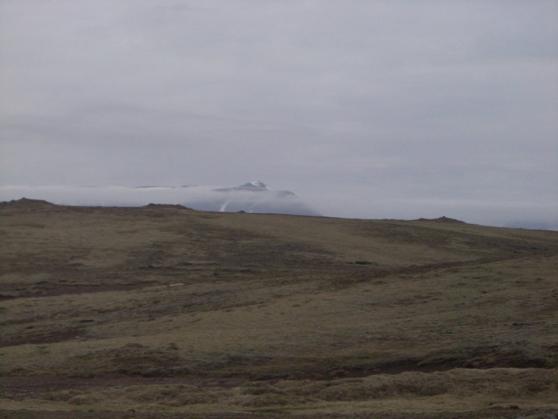 CIMG8659.JPG