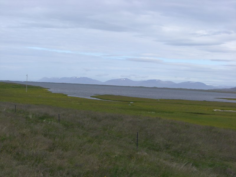 CIMG0537.JPG