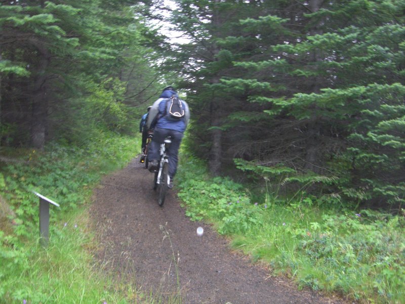 CIMG0968.JPG