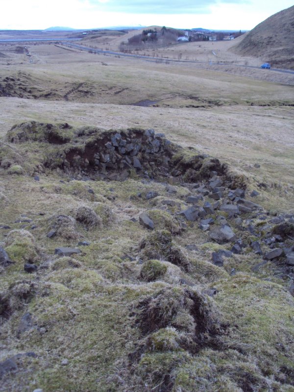 DSC02233.JPG