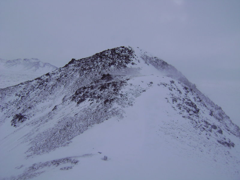 DSC07117.JPG