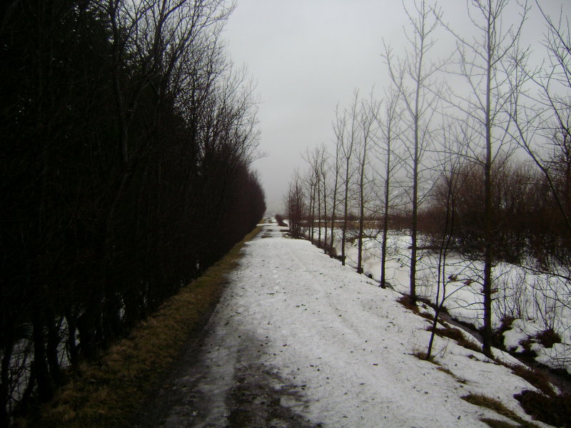 DSC07169.JPG