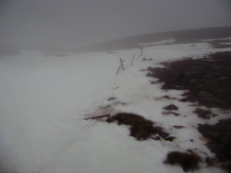 DSC07219.JPG