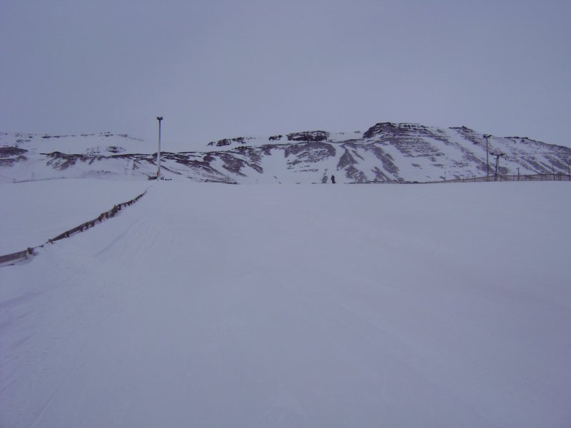 DSC07334.JPG