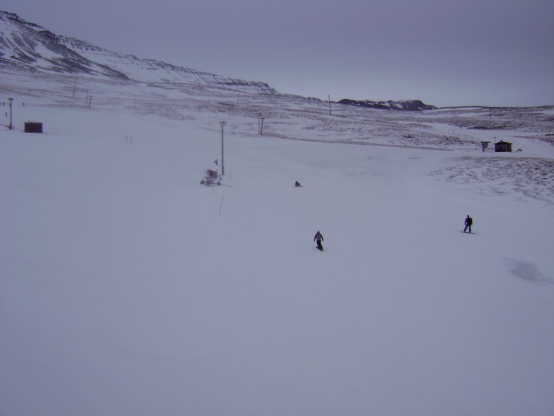 DSC07385.JPG
