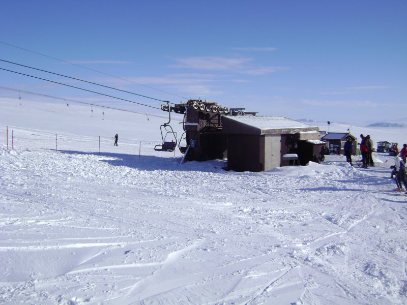 DSC07545.JPG