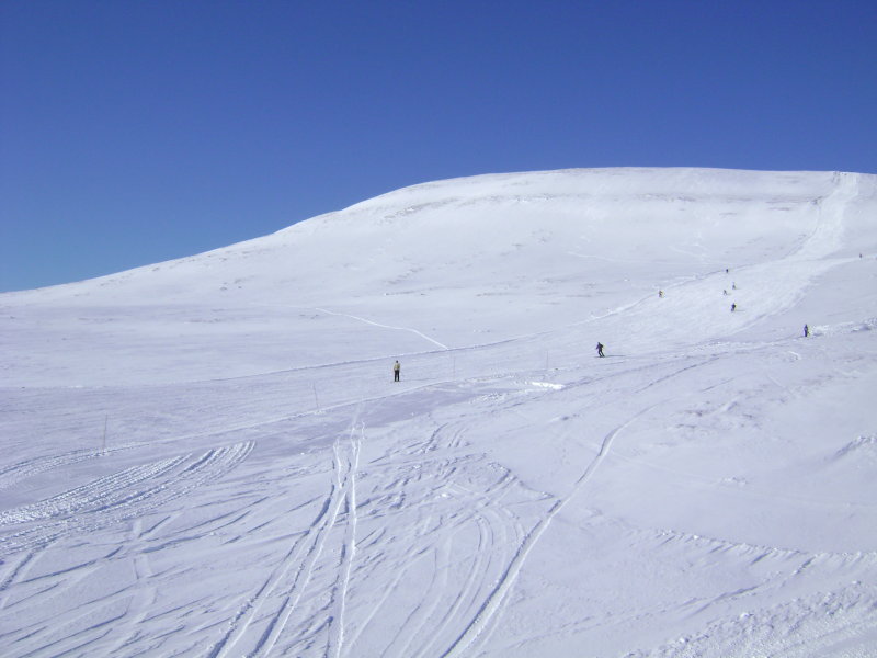 DSC07547.JPG