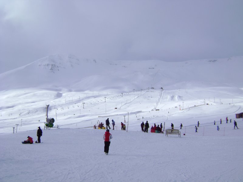 DSC07827.JPG
