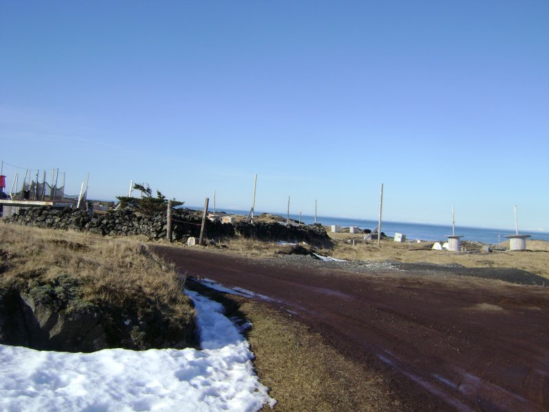 DSC08113.JPG