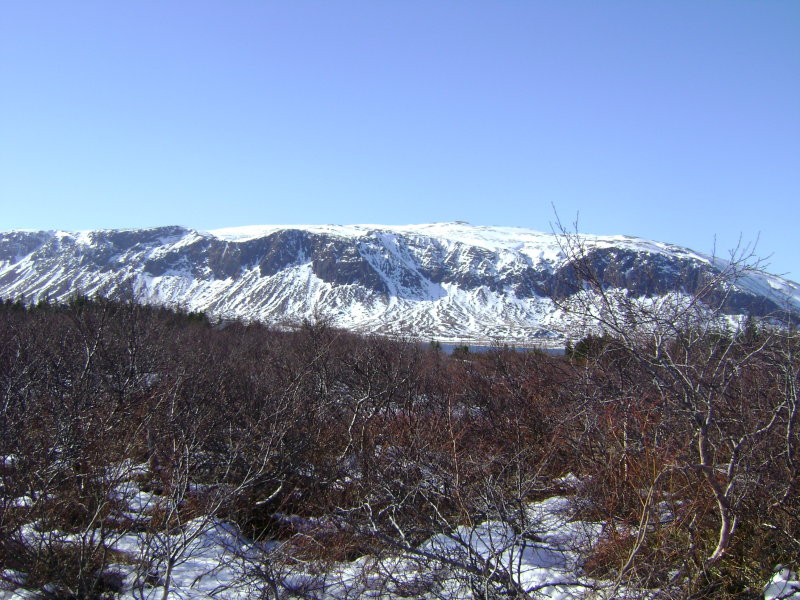 DSC08181.JPG