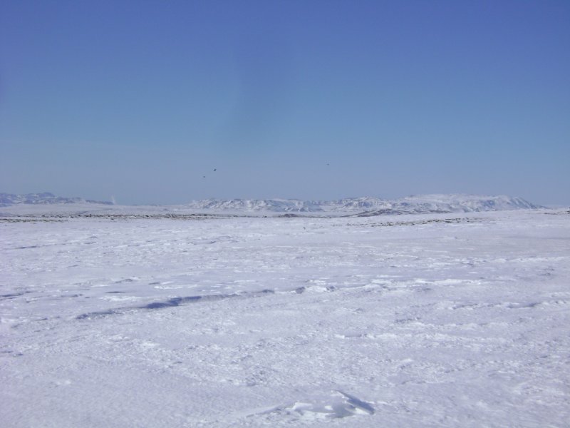 DSC08214.JPG